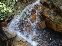 DSC00826