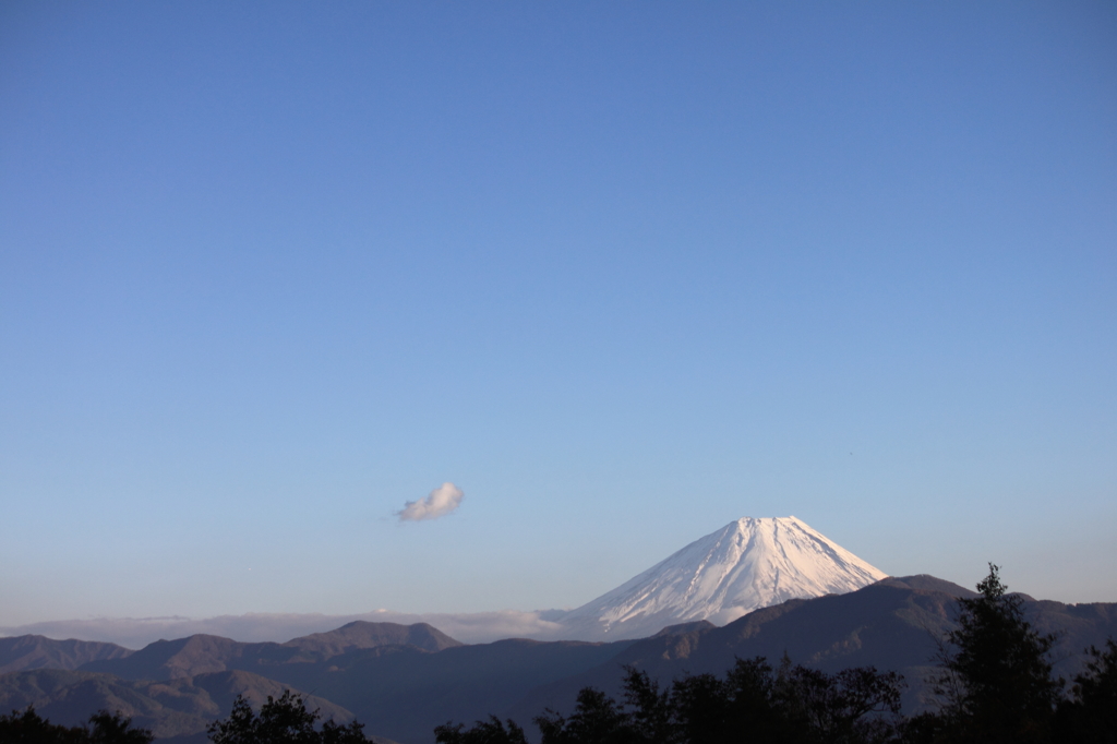 初冬の富士