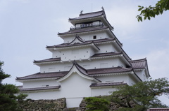 八重の桜～～～