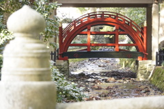 新潟 寺泊の旅　-14-　弥彦神社！！