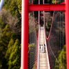 新潟 寺泊の旅　-19-　吊り橋！！