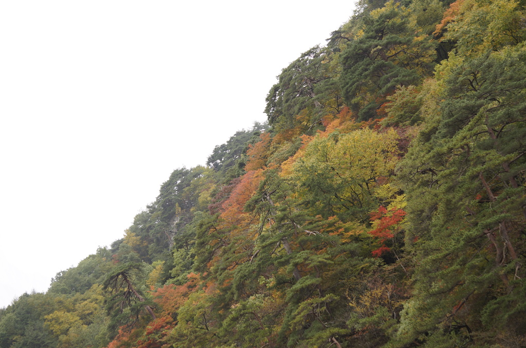 ちょっと雲の切れ間・・・