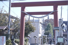 写真整理　-19-　(栃木市内の某神社)