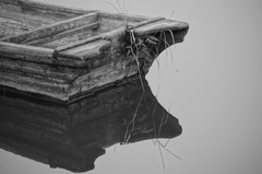 渡良瀬遊水地