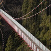 新潟 寺泊の旅　-20-　吊り橋！！