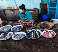 ミャンマーの魚屋さん3