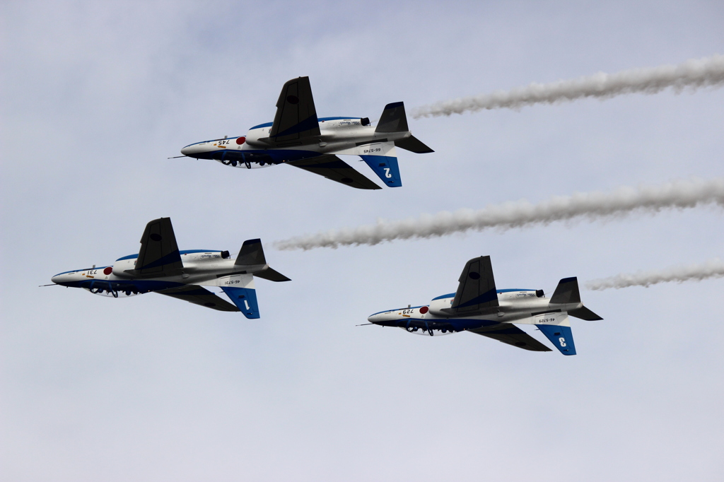Inverted flight