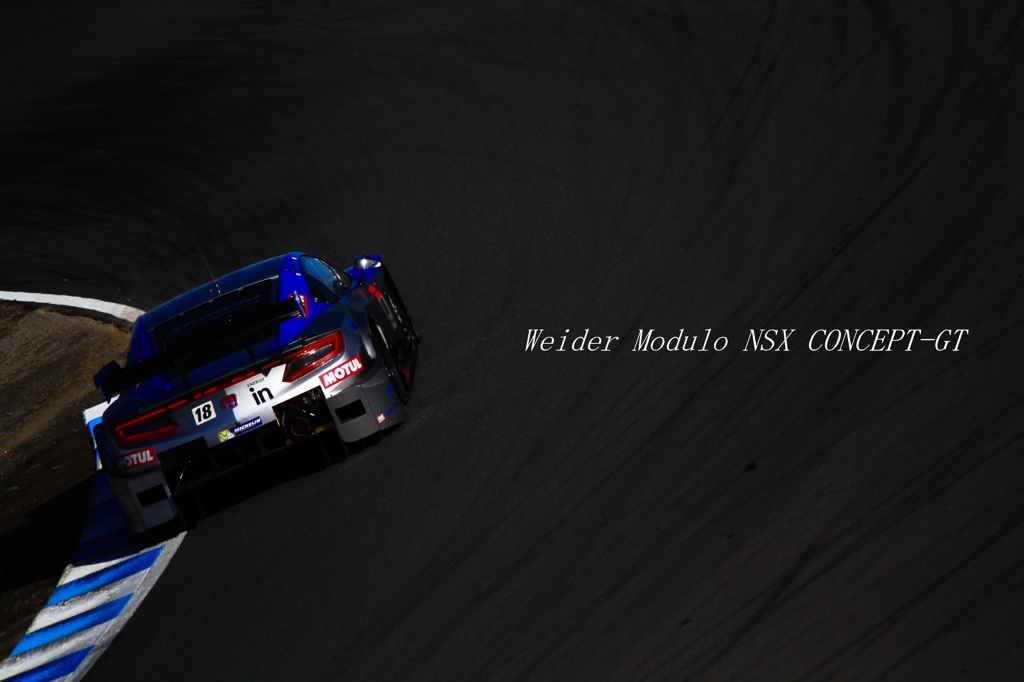 Weider Modulo NSX CONCEPT-GT