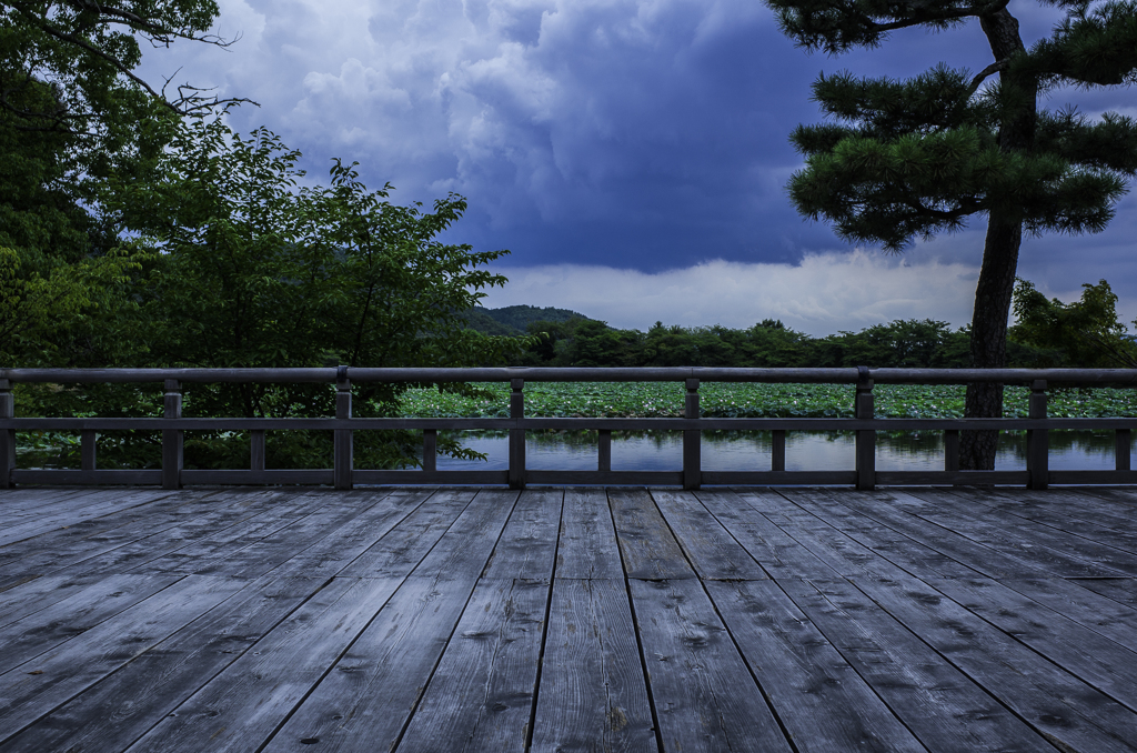 大沢池/大覚寺