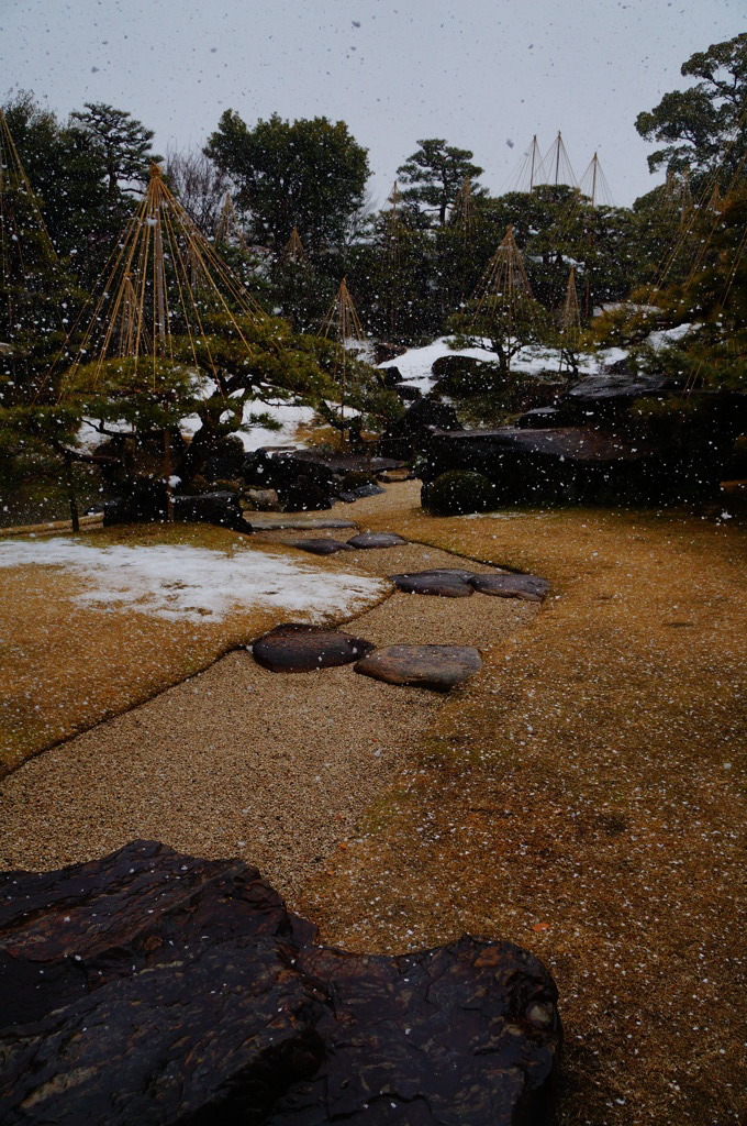 DSC08616