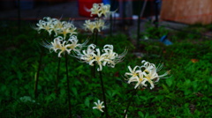 DSC01120