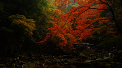 DSC06486