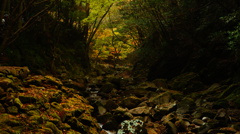 DSC06462
