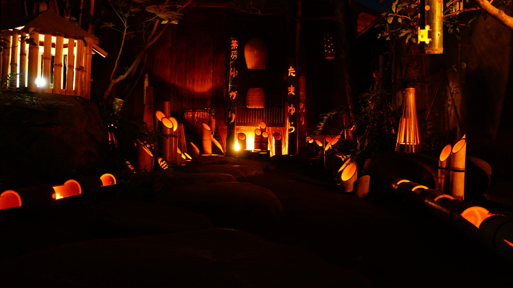 DSC04419