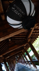 DSC01163
