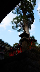 DSC01185
