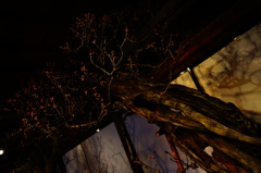 DSC08624