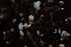 DSC08712