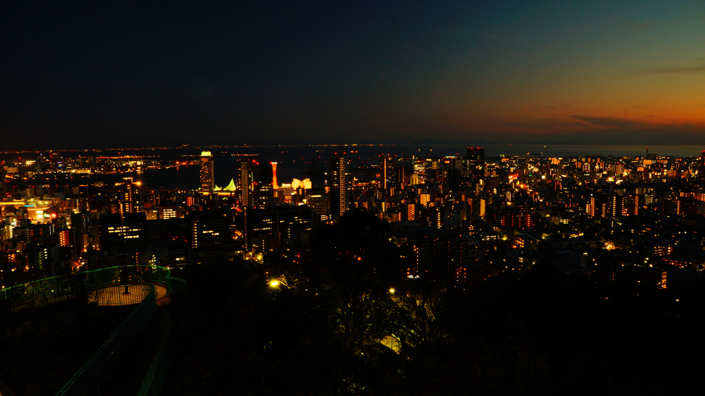 DSC06842改