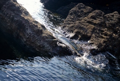 流れ込み