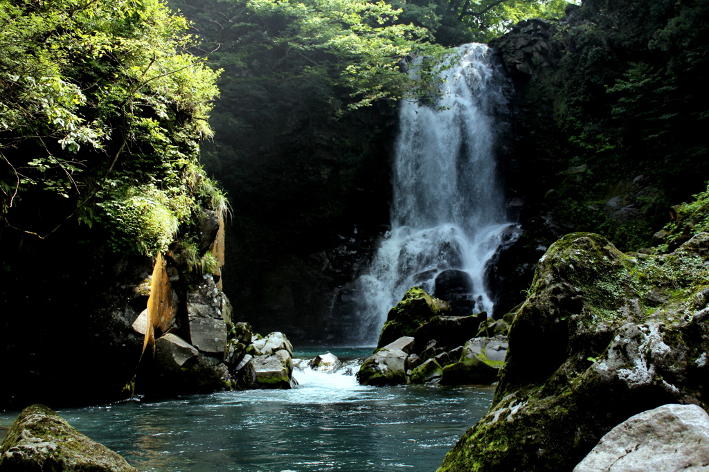 奈曽の白滝