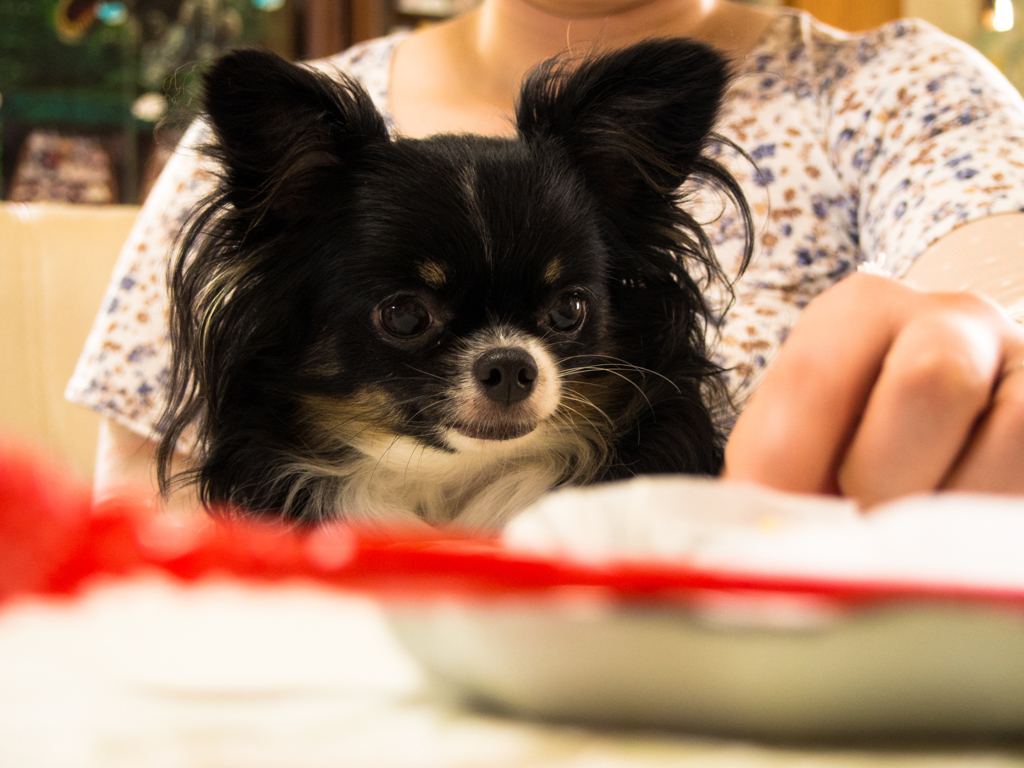 20130830-P8300051