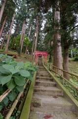 夏休み　こんな感じ
