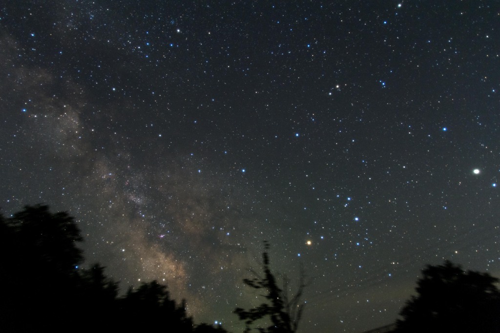 星を追う