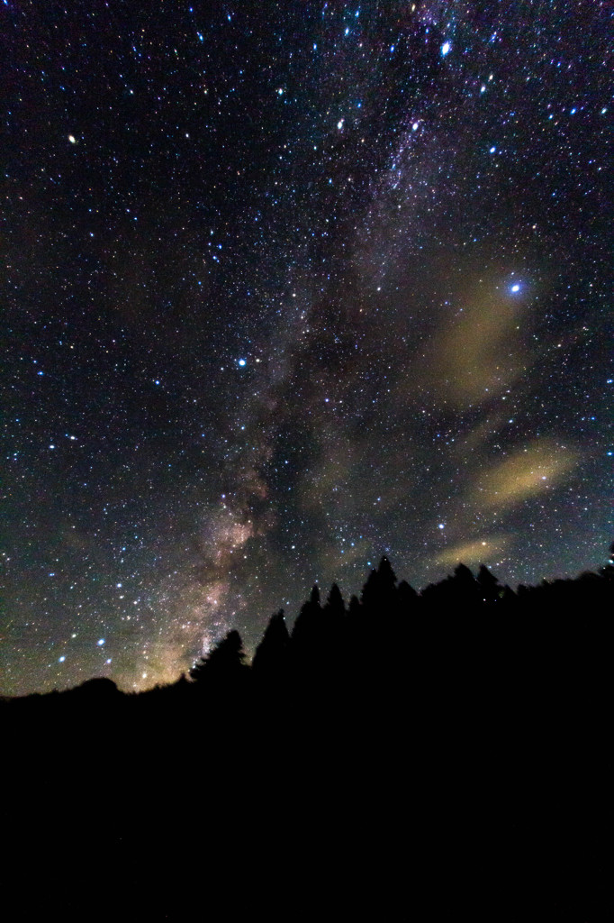 星降る夜に