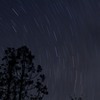 星に立つ