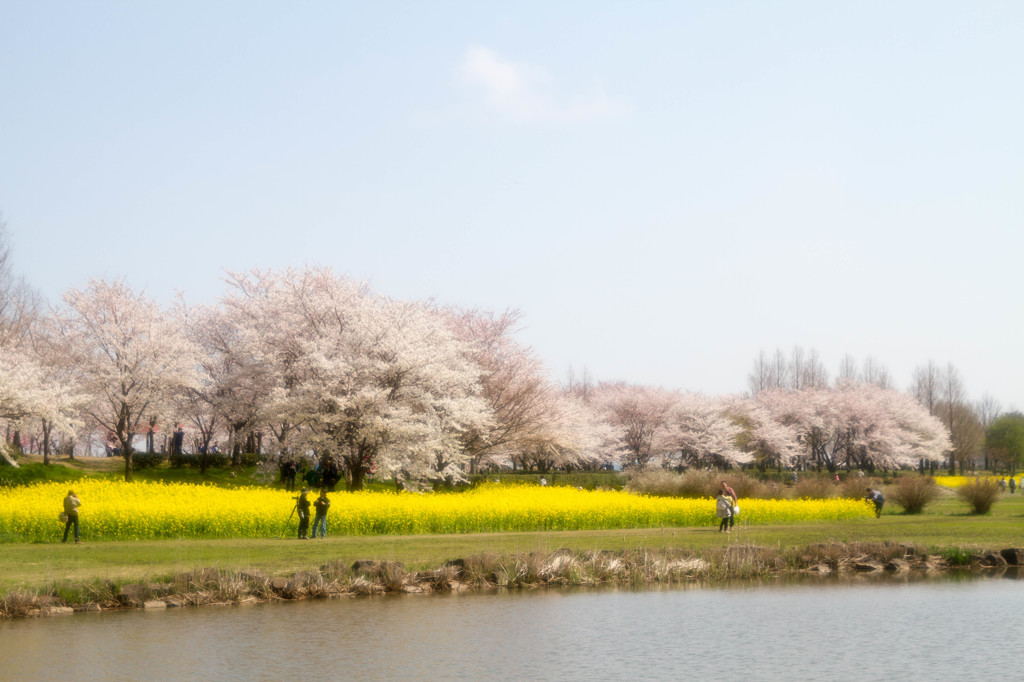 春遠景