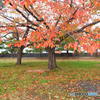 合浦公園（がっぽこうえん）その１