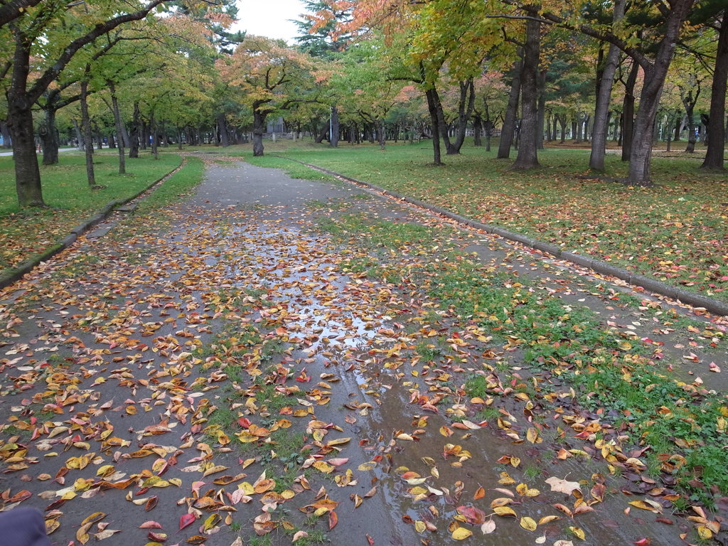 秋深まる公園③
