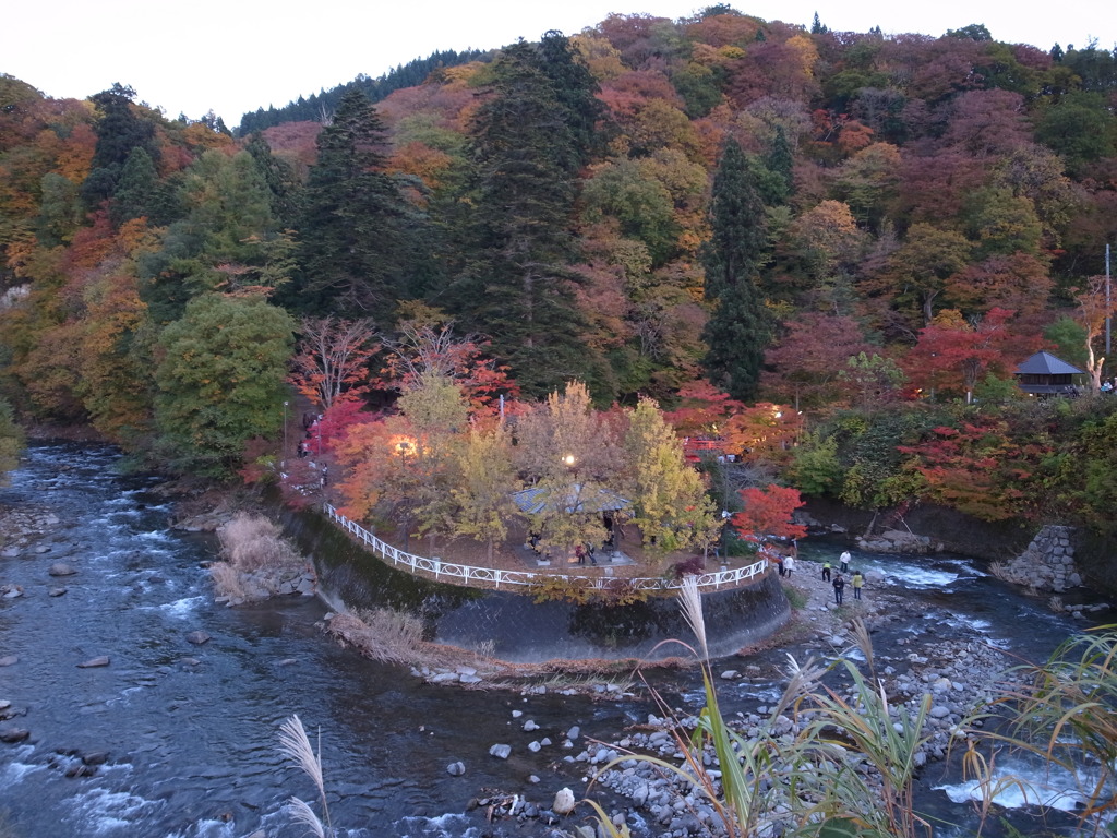 中野紅葉山①