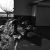 冬の支度④