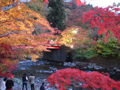 中野紅葉山④