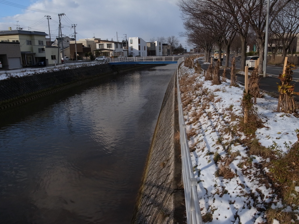 ⑩冬の散歩道