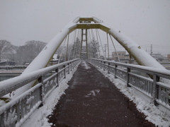 雪の散歩道②