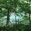 ☆白神山地のおひさもと十二湖