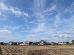 とりとめのない雲