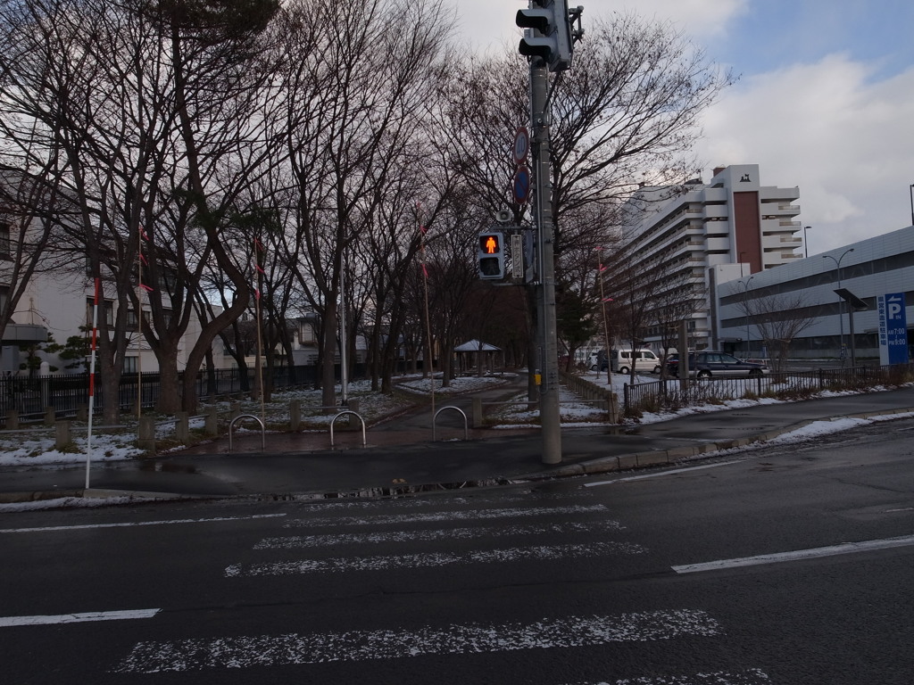 ⑫冬の散歩道