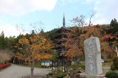 青龍寺①