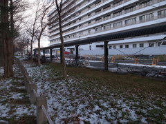 ⑮冬の散歩道