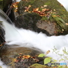 苔むした岩肌と透明な水しぶき