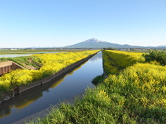 通勤途中の夕景
