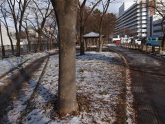 ⑬冬の散歩道