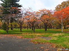 こんなにきれいだったかな、この公園！？