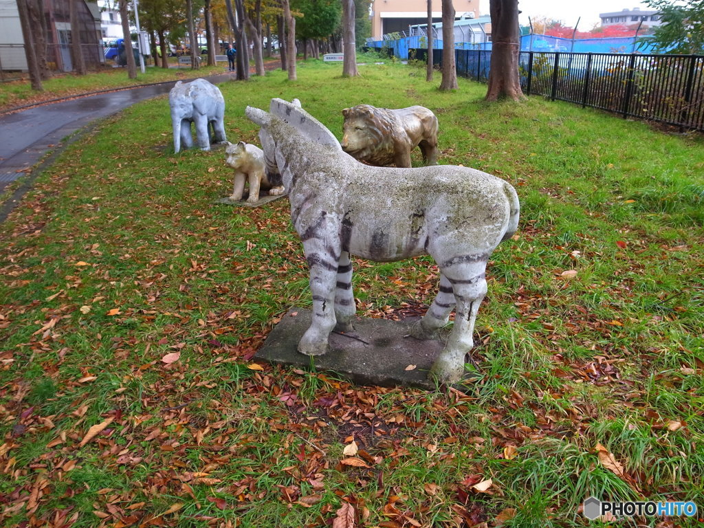 秋の散歩道（その２　元動物園跡？）