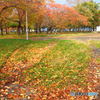 合浦公園（がっぽこうえん）その４