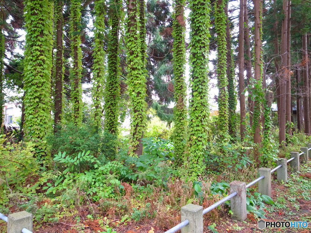 合浦公園（がっぽこうえん）その３